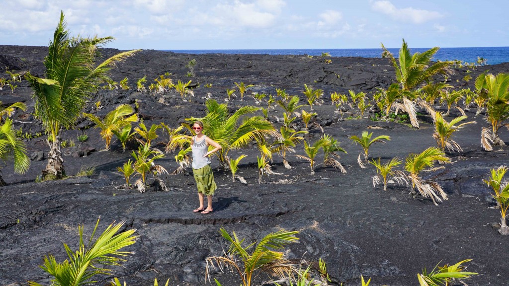 Red Road, Big Island