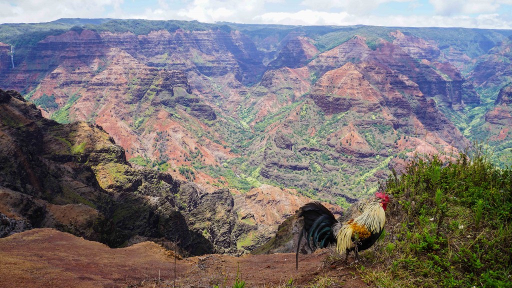 Waimea Canyon, Kauai, Hawaii