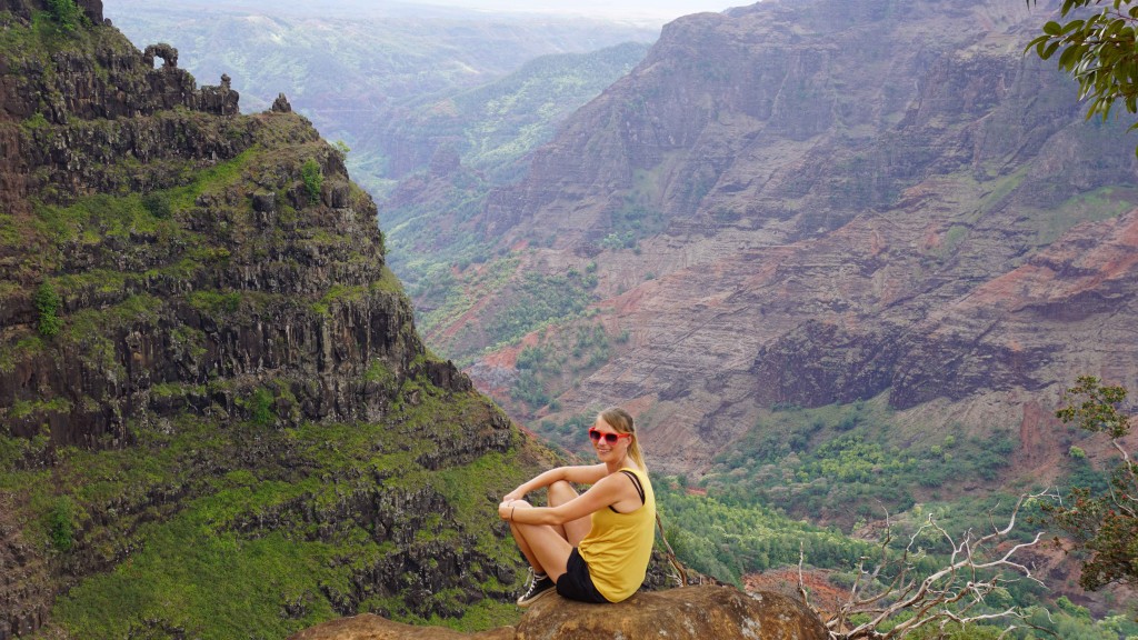 Oahu_Hawaii_2015-01172