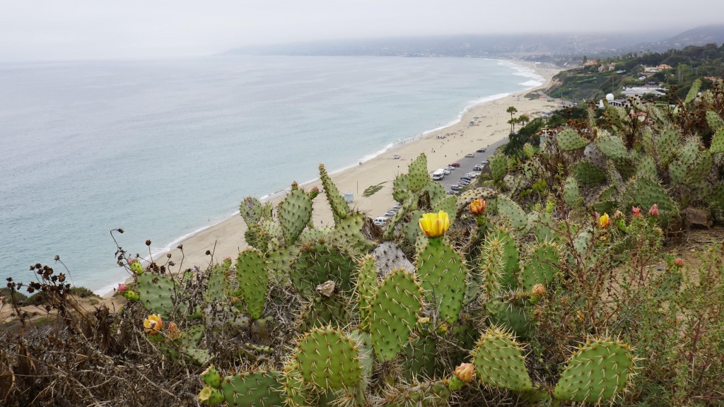 Highway_1_2015-01929