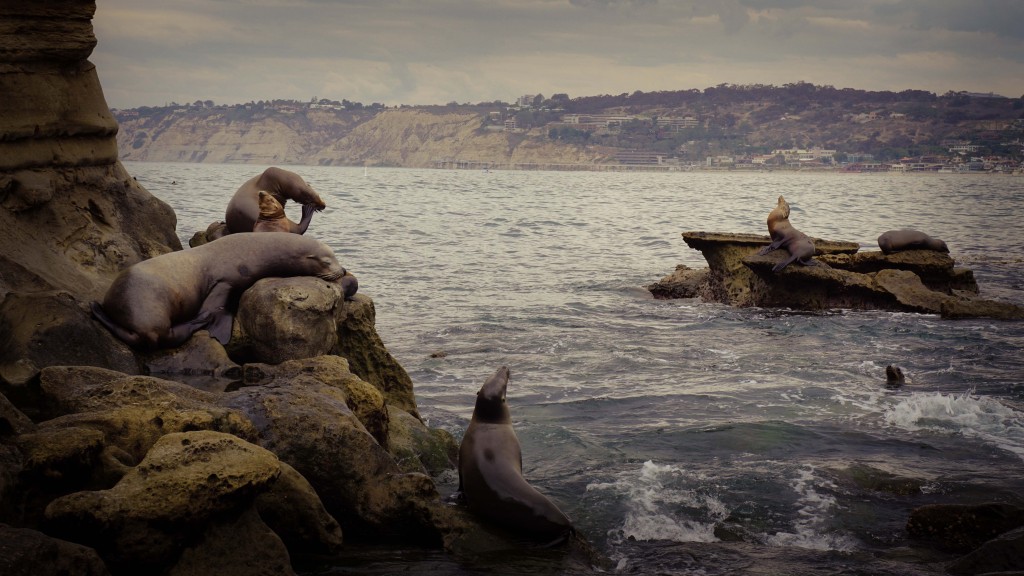 La Jolla, San Diego