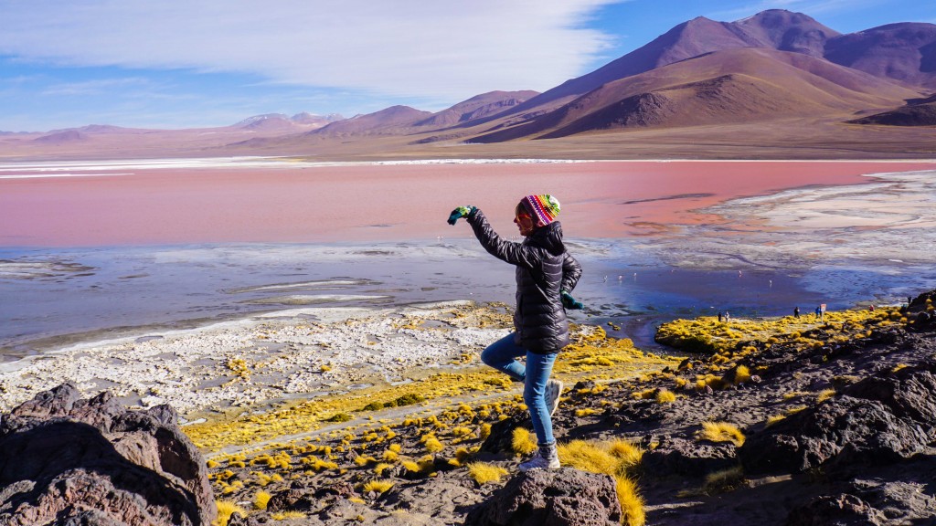 Salar de Uyuni Flamingos
