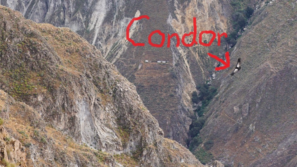 colca_2015-03228_2