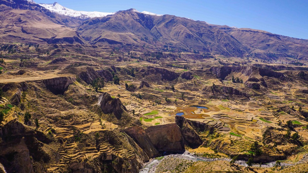 colca_2015-03351