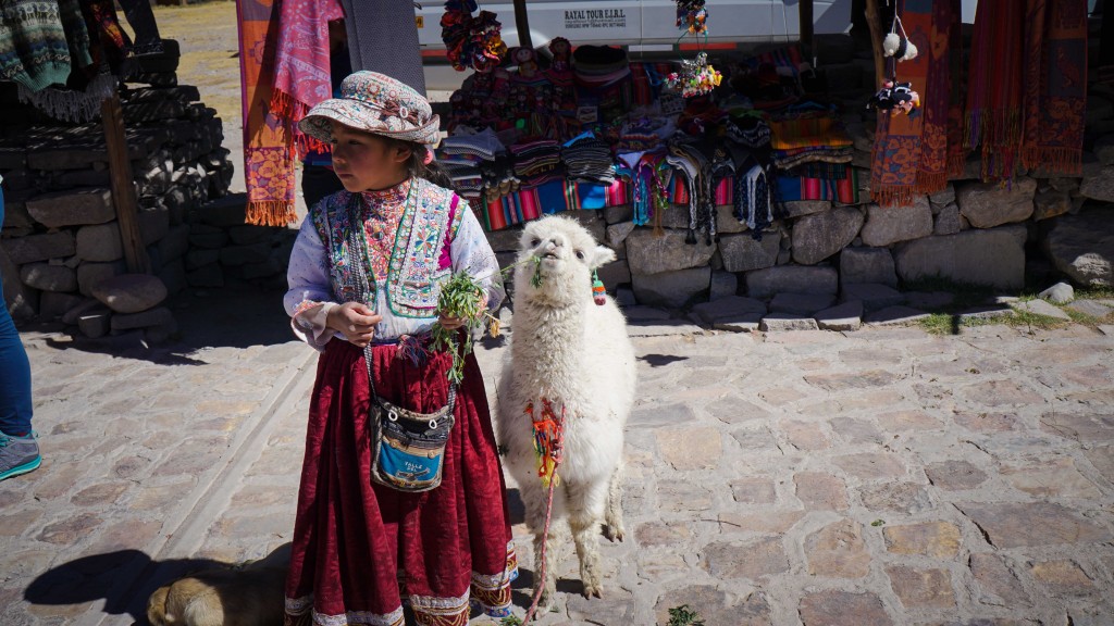 colca_2015-03363