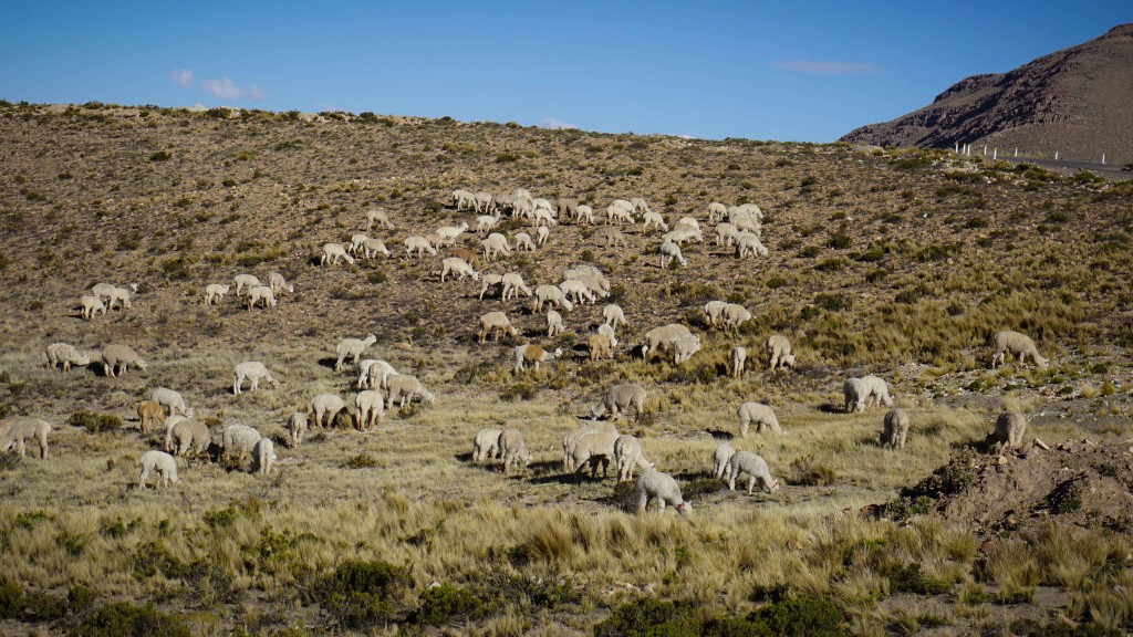 colca_2015-03395