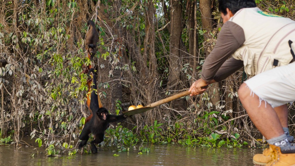 iquitos_2015-02928