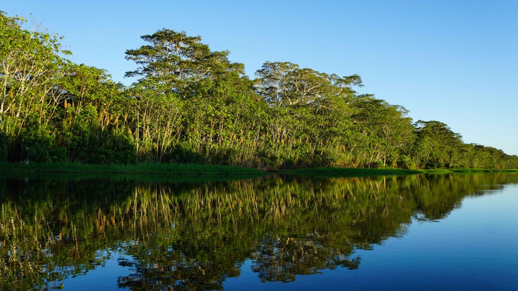 iquitos_2015-03044