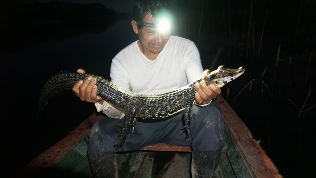iquitos_2015-03107