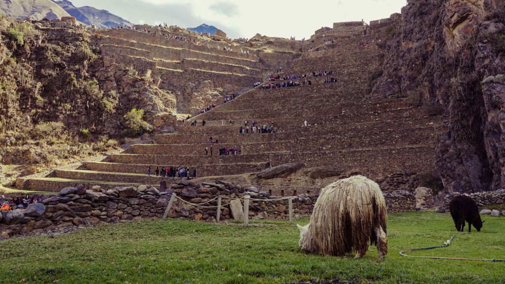 Ollantaytambo Peru