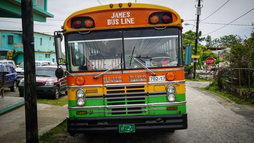 Belize, Bus