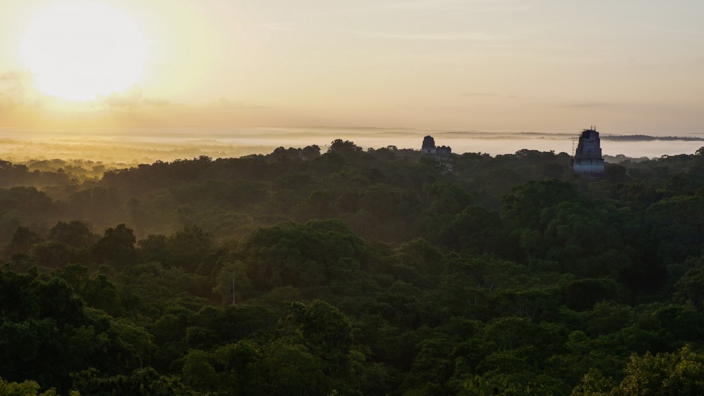 Sonnenaufgang in Tikal
