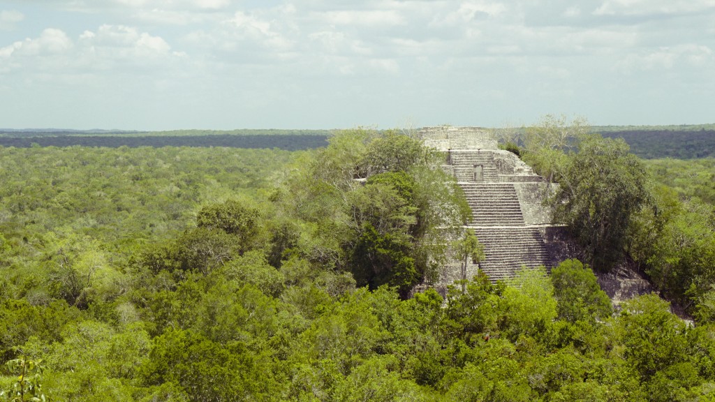 calacmul_2015-06506