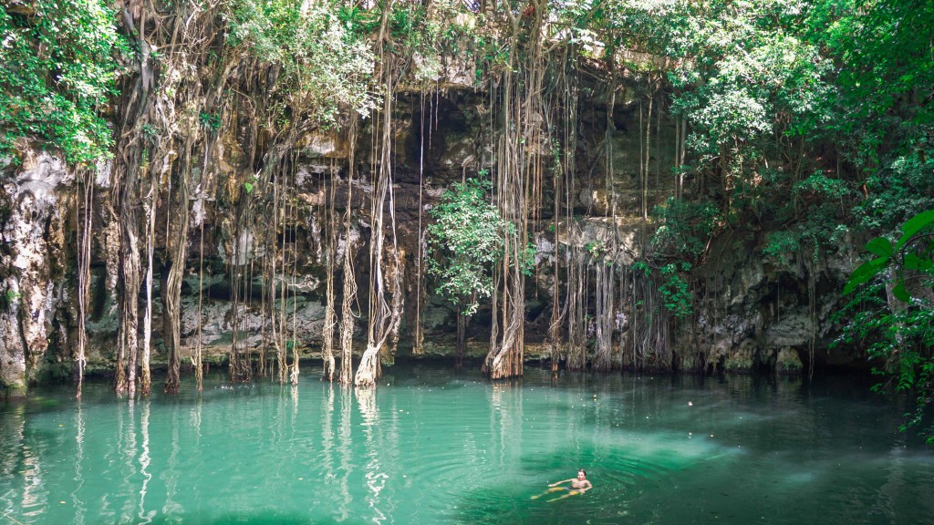 cenote_yokdzonot_2015-06288