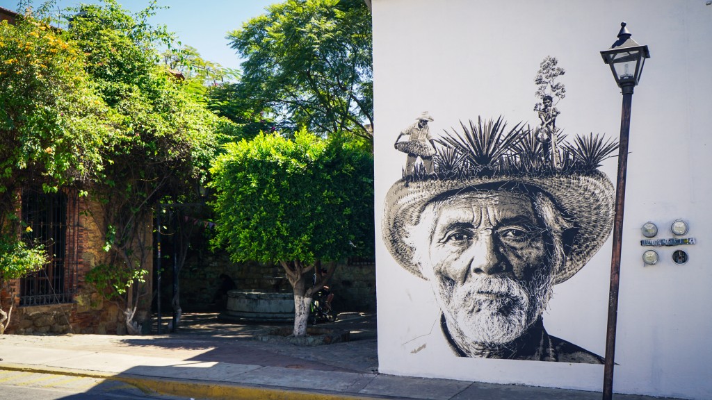 Oaxaca, Streetart