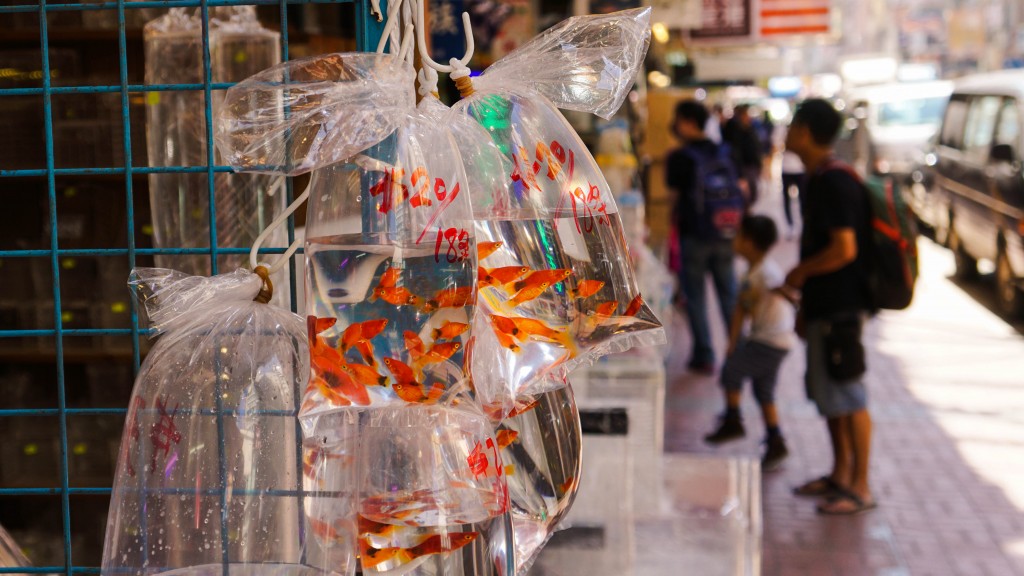 hongkong_2015-08390