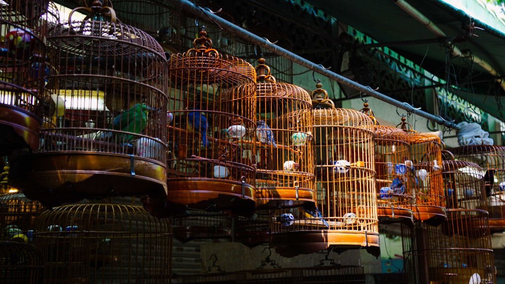 hongkong_2015-08422