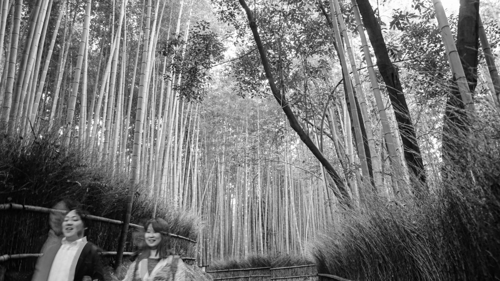 Arashiyama Forest, Kyoto