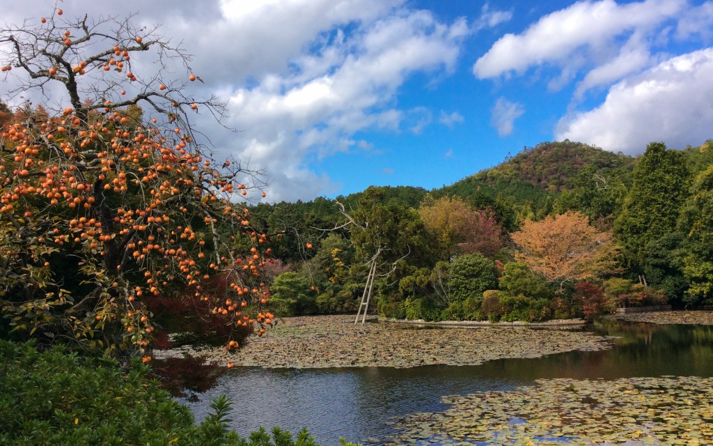 Ryoanji Tempel, Kyoto