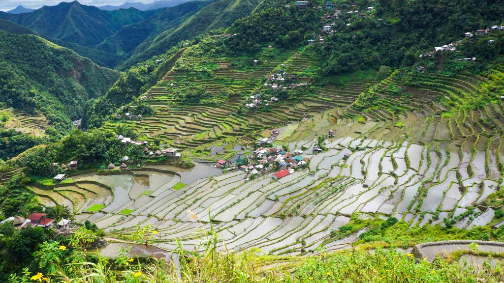 Batad, Reisterassen