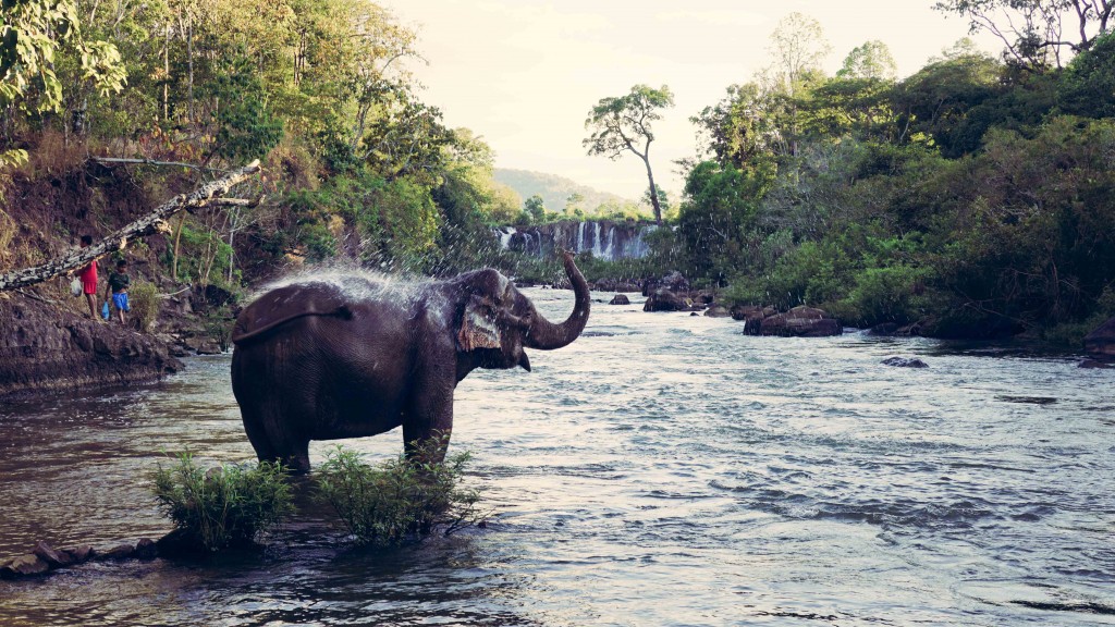 laos_2015-01790